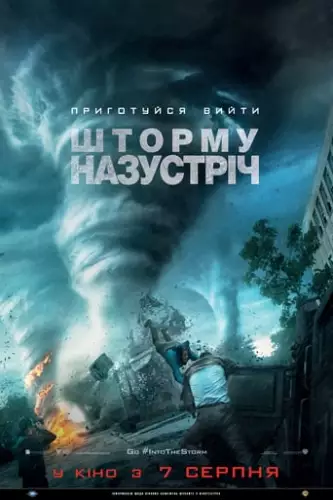 Шторму назустріч (2014)